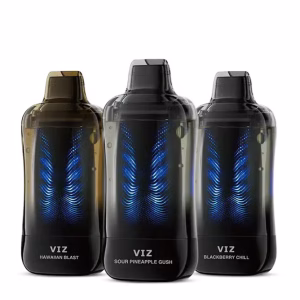 Lost Mary VIZ 55K Disposable